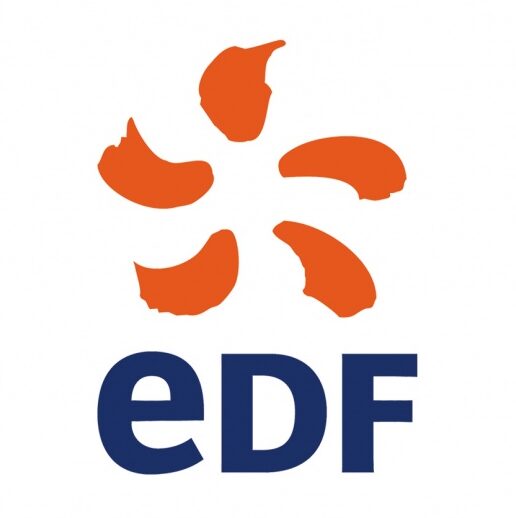 logo edf